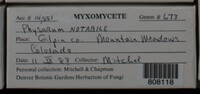 Image Associated With the Occurence
